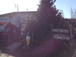 Cota Cafe